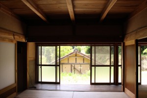 IMG_3267