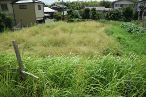 敷地の草刈り完了です